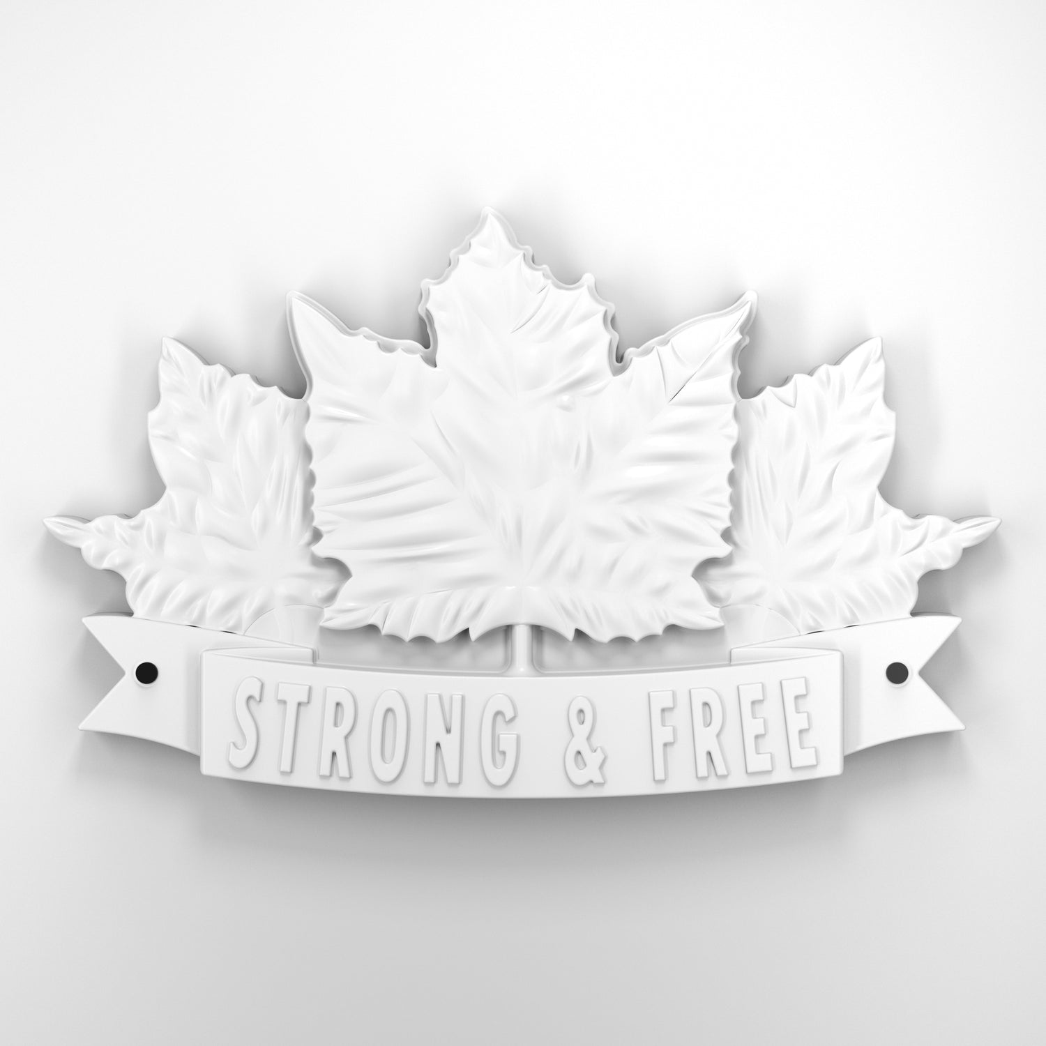 Strong and free • Plaque [1729]