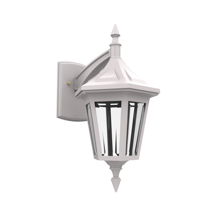 Élégant - Luminaire mural extérieur montage vers le bas - 81482