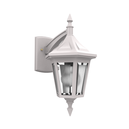 Élégant - Luminaire mural extérieur montage vers le bas - 81482