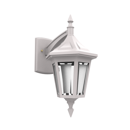 Élégant - Luminaire mural extérieur montage vers le bas - 81482